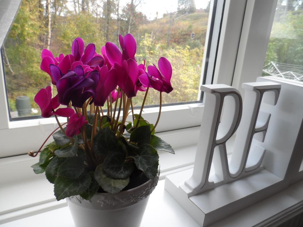 Landvetter Bnb Härryda Oda fotoğraf